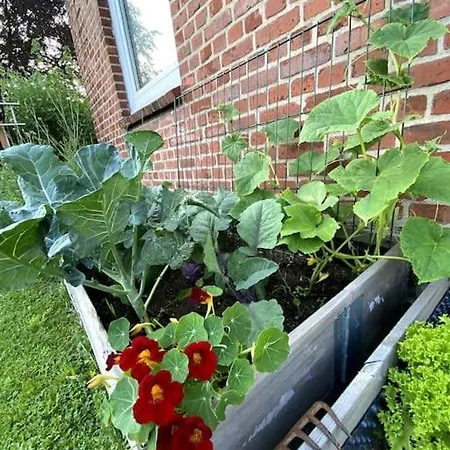 An Der Hohwachter Bucht Lütjenburg