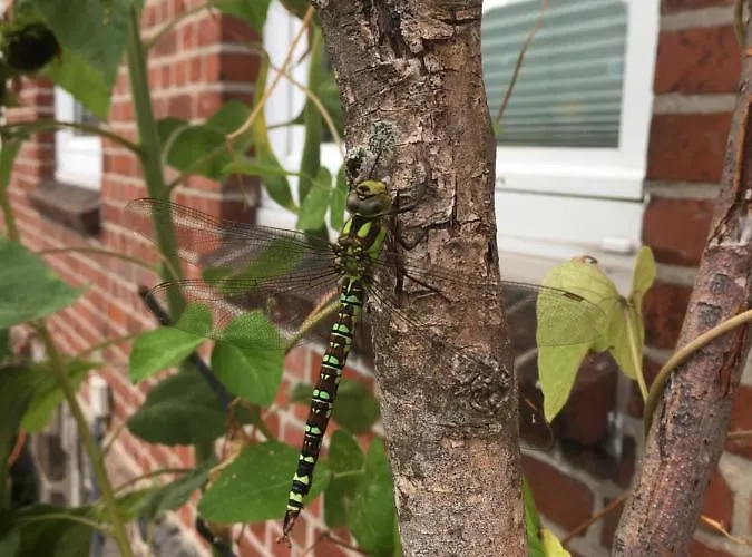 An Der Hohwachter Bucht Apartament